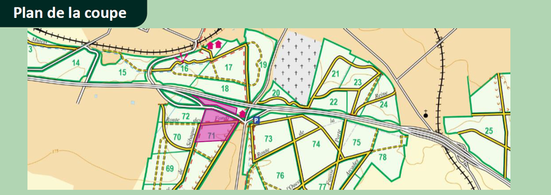 Illustration de l'actualité