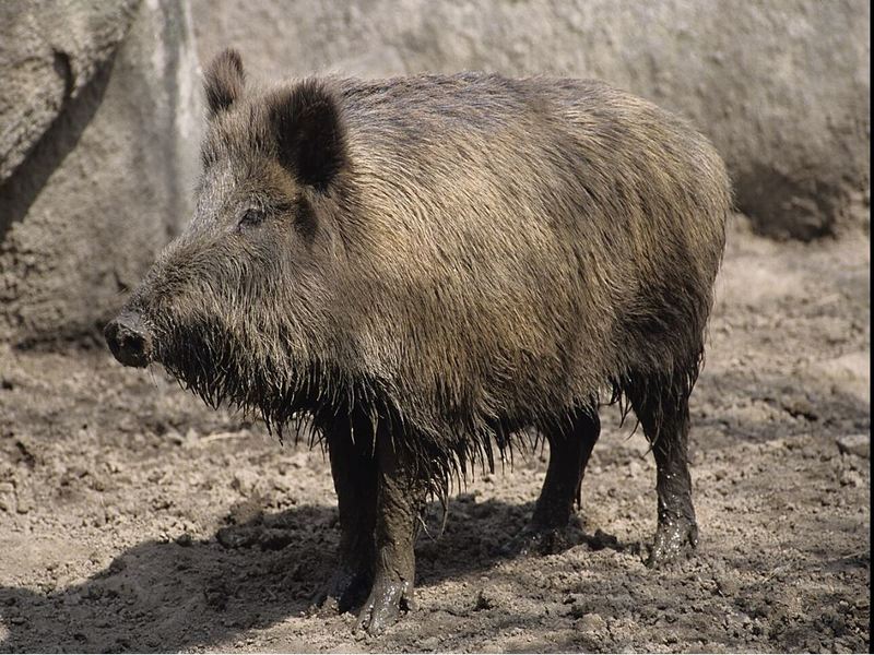 illustration de l'actualité