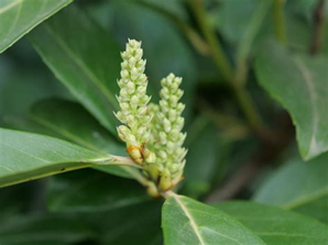 Illustration de l'actualité