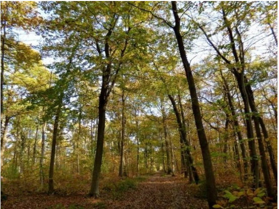 Illustration de l'actualité