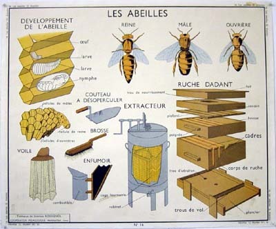 Illustration de l'actualité
