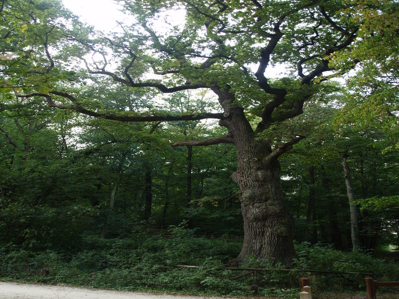 Illustration de l'actualité