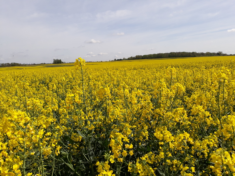 Illustration de l'actualité