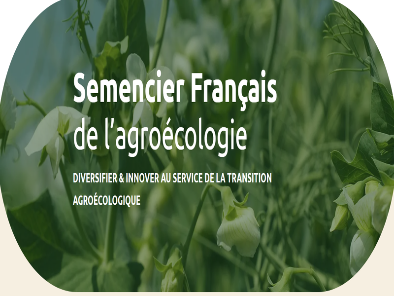 Illustration de l'actualité