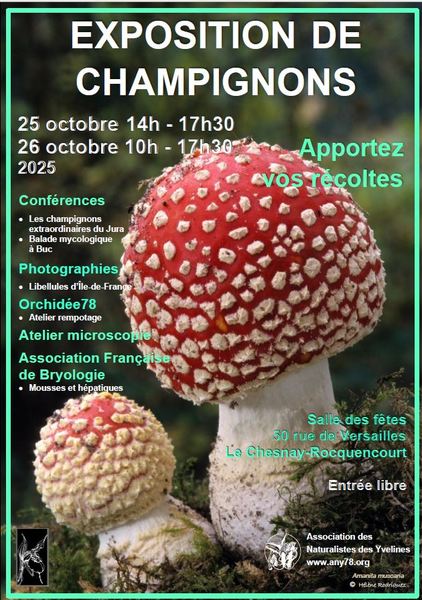 Illustration de l'actualité